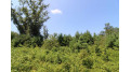 LOT19 Timber Trail Spring Green, WI 53588 by Century 21 Affiliated - Pref: 608-574-2092 $185,850