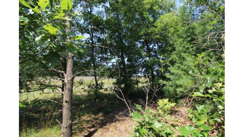 LOT19 Timber Trail Spring Green, WI 53588 by Century 21 Affiliated - Pref: 608-574-2092 $185,850