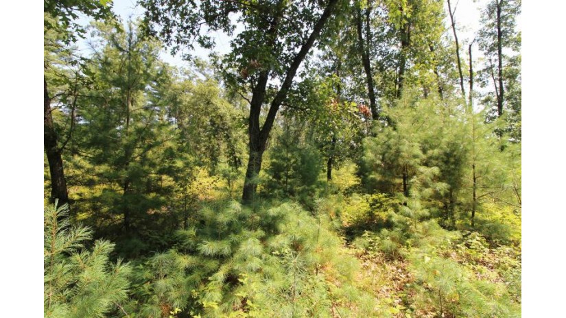 LOT19 Timber Trail Spring Green, WI 53588 by Century 21 Affiliated - Pref: 608-574-2092 $185,850