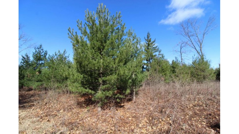 LOT19 Timber Trail Spring Green, WI 53588 by Century 21 Affiliated - Pref: 608-574-2092 $185,850