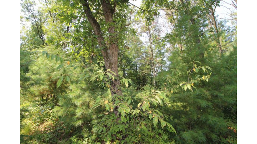 LOT19 Timber Trail Spring Green, WI 53588 by Century 21 Affiliated - Pref: 608-574-2092 $185,850