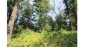 LOT19 Timber Trail Spring Green, WI 53588 by Century 21 Affiliated - Pref: 608-574-2092 $185,850