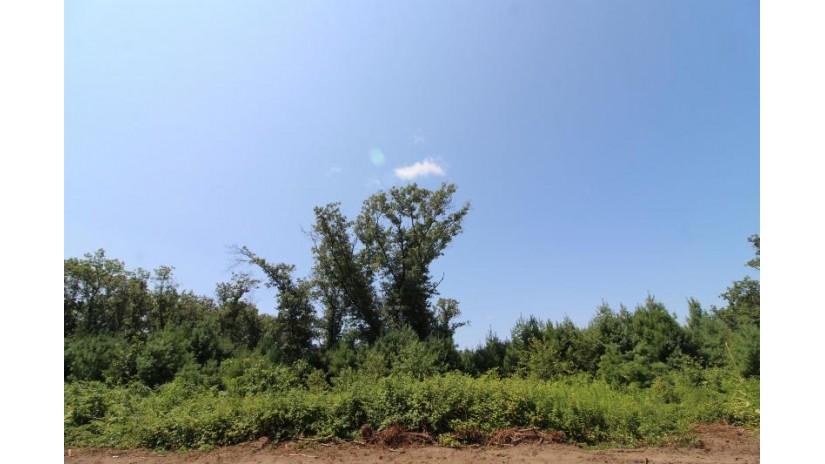 LOT19 Timber Trail Spring Green, WI 53588 by Century 21 Affiliated - Pref: 608-574-2092 $185,850