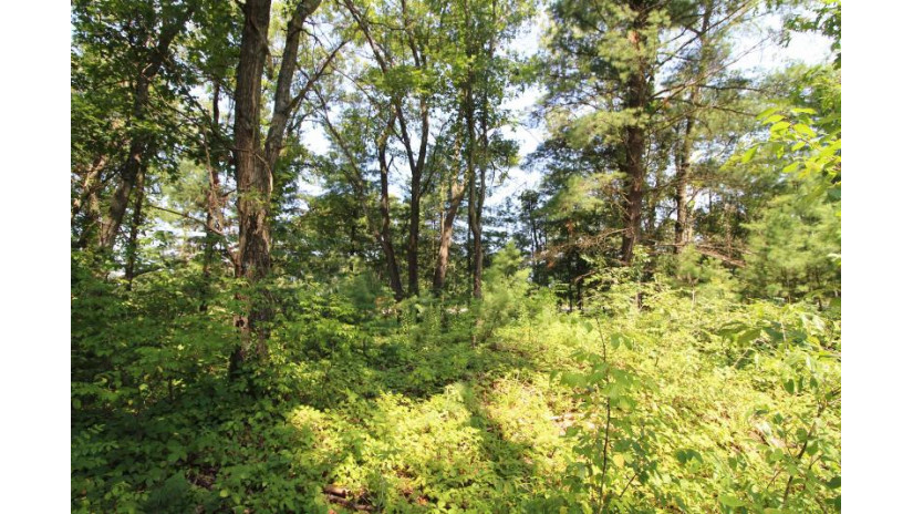 LOT19 Timber Trail Spring Green, WI 53588 by Century 21 Affiliated - Pref: 608-574-2092 $185,850