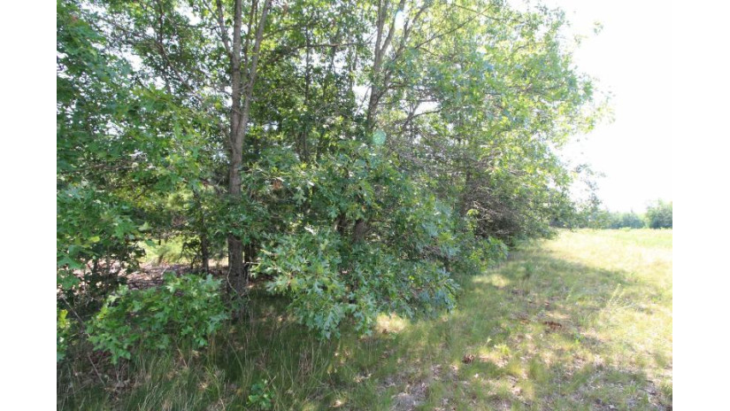 LOT19 Timber Trail Spring Green, WI 53588 by Century 21 Affiliated - Pref: 608-574-2092 $185,850