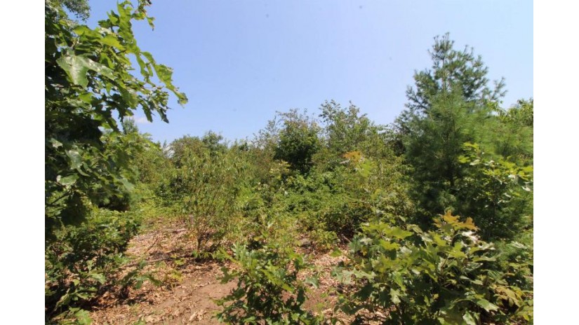 LOT19 Timber Trail Spring Green, WI 53588 by Century 21 Affiliated - Pref: 608-574-2092 $185,850