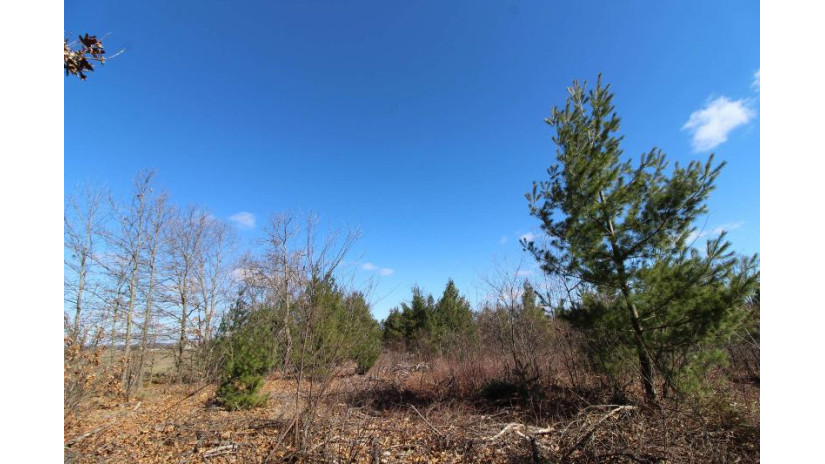 LOT19 Timber Trail Spring Green, WI 53588 by Century 21 Affiliated - Pref: 608-574-2092 $185,850