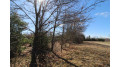 LOT19 Timber Trail Spring Green, WI 53588 by Century 21 Affiliated - Pref: 608-574-2092 $185,850