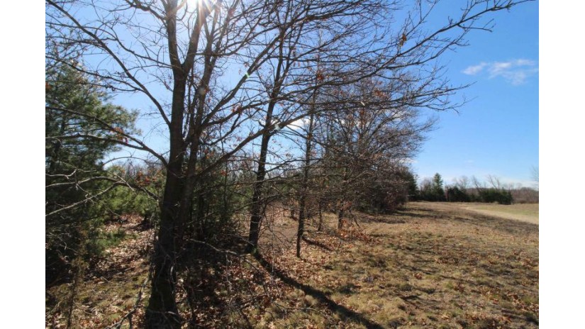 LOT19 Timber Trail Spring Green, WI 53588 by Century 21 Affiliated - Pref: 608-574-2092 $185,850