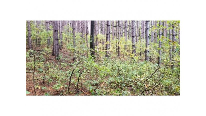 Lot 3 & 4 Paulsen Lake Lane Osceola, WI 54020 by White Oaks Real Estate, Llc $109,000