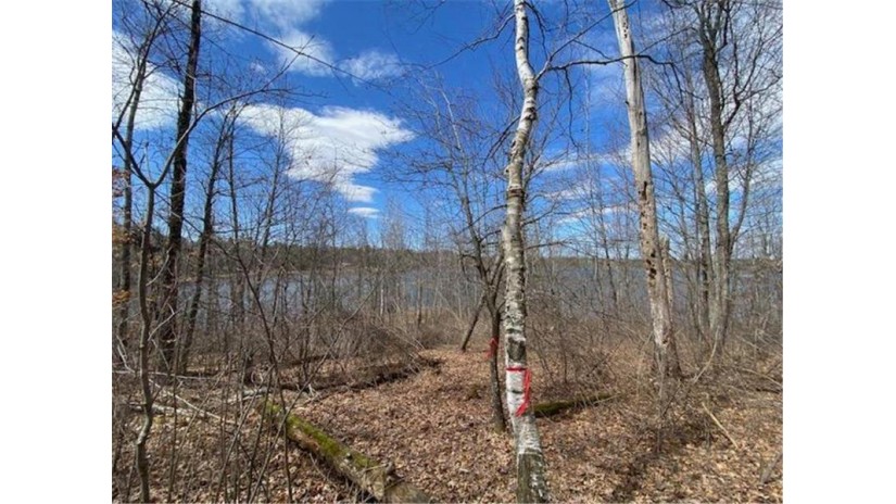 Lot 2 Pash Drive Trego, WI 54888 by Lakewoods Real Estate $115,000