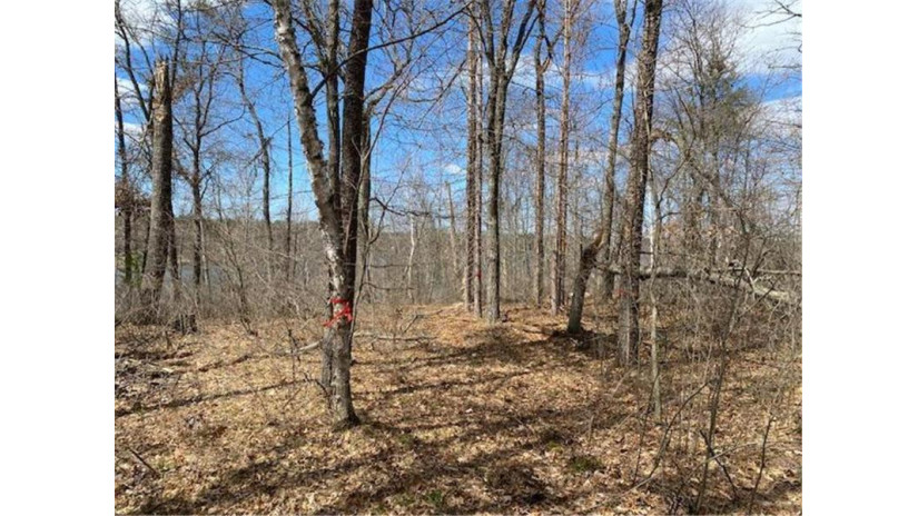 Lot 2 Pash Drive Trego, WI 54888 by Lakewoods Real Estate $115,000