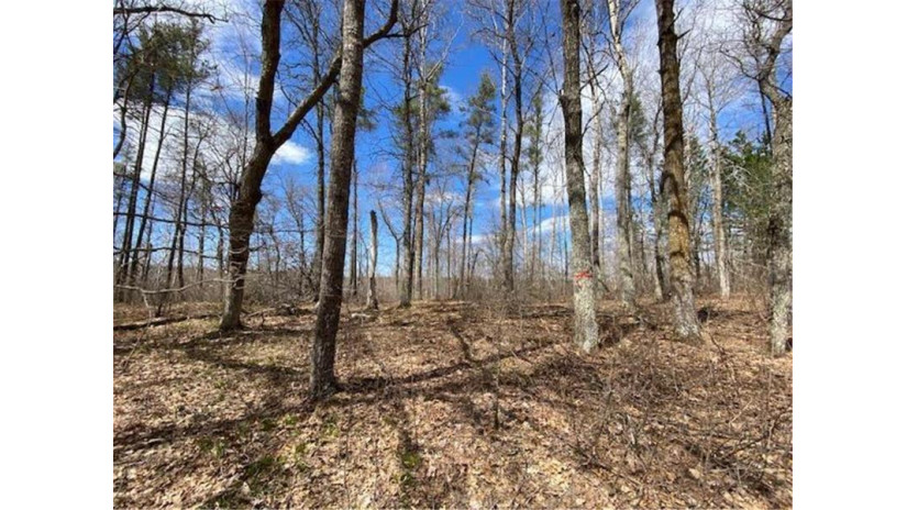 Lot 2 Pash Drive Trego, WI 54888 by Lakewoods Real Estate $115,000