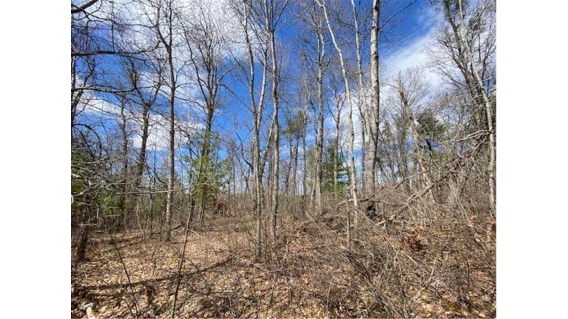 Lot 2 Pash Drive Trego, WI 54888 by Lakewoods Real Estate $115,000