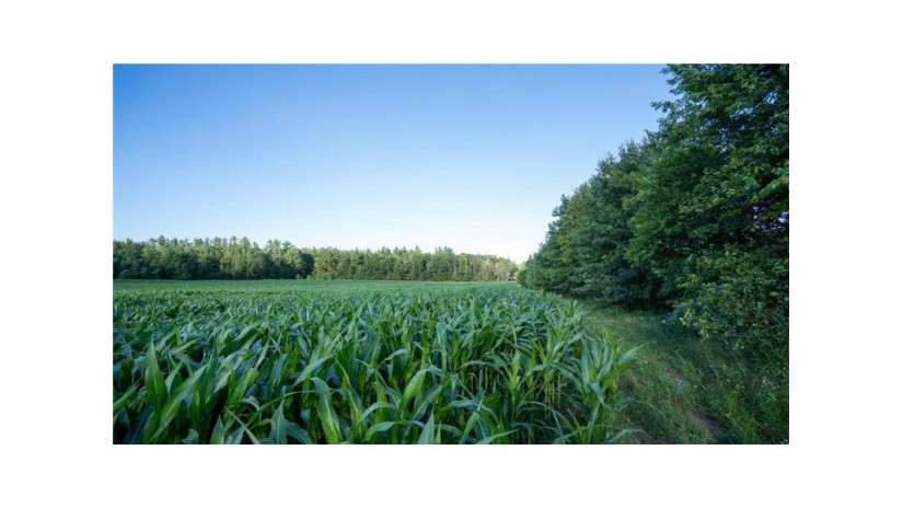 000 Poertner Road Neillsville, WI 54456 by Midwest Land Group Llc $230,000