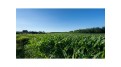 000 Poertner Road Neillsville, WI 54456 by Midwest Land Group Llc $230,000