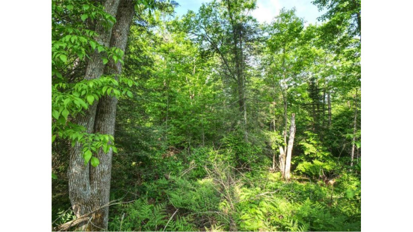 Lot 3 Senasac Road Exeland, WI 54835 by Keller Williams Realty Diversified $49,900