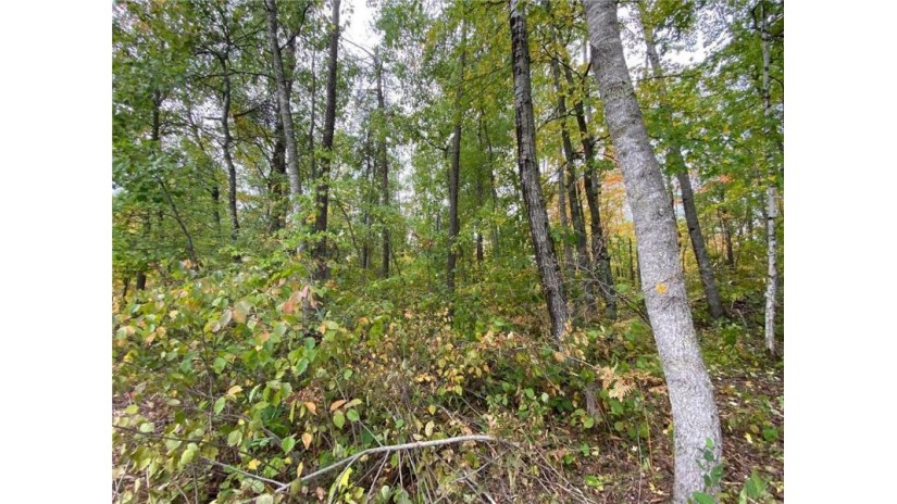 0 Shell Creek Road Minong, WI 54859 by Lakewoods Real Estate $21,500