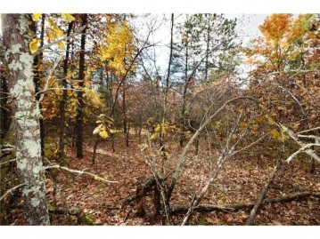 XXX Foxes Landing Road, Grantsburg, WI 54840