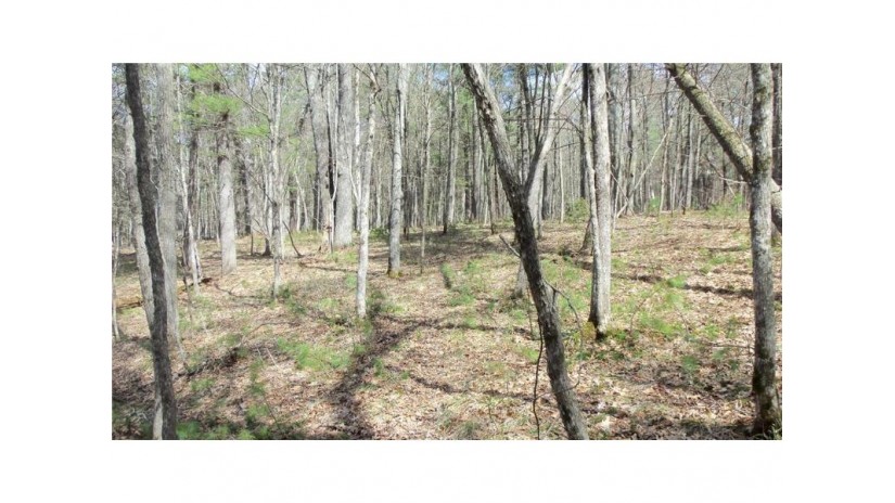 Lot 2 130th St Siren, WI 54872 by Woods & Water Real Estate Llc $74,900