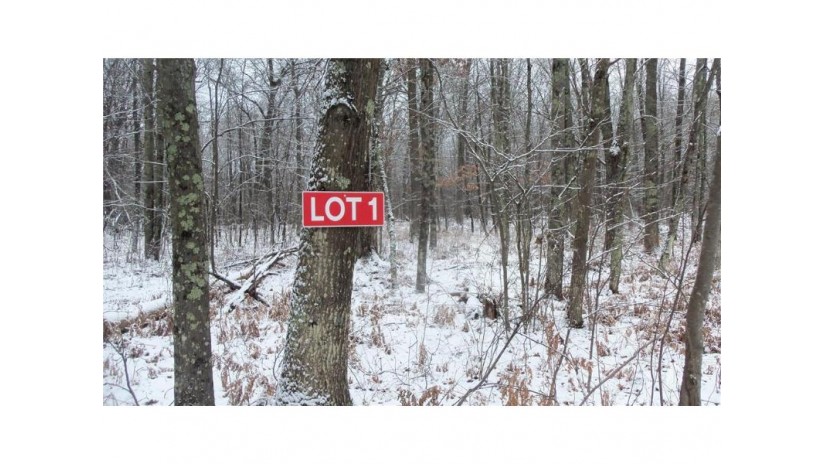 Lot 1 Blackberry Rd Trego, WI 54888 by Woods & Water Real Estate Llc $34,900