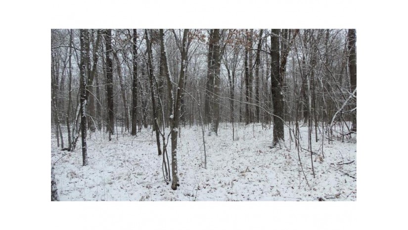 Lot 1 Blackberry Rd Trego, WI 54888 by Woods & Water Real Estate Llc $34,900