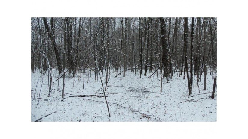 LOT 2 Blackberry Rd Trego, WI 54888 by Woods & Water Real Estate Llc $34,900
