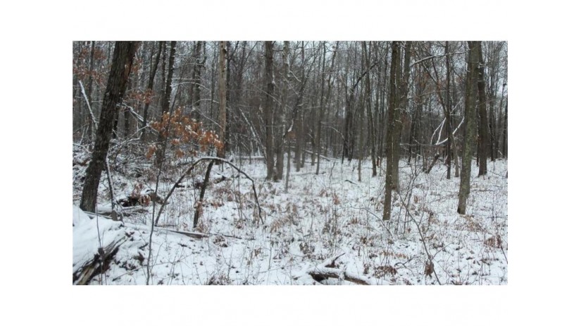 LOT 3 Blackberry Rd Trego, WI 54888 by Woods & Water Real Estate Llc $34,900
