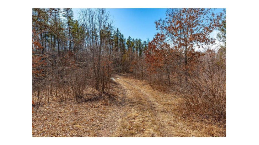 xx 20 acres Tranus Lake R Tranus Lake Rd Springbrook, WI 54875 by Compass Realty Group $97,500