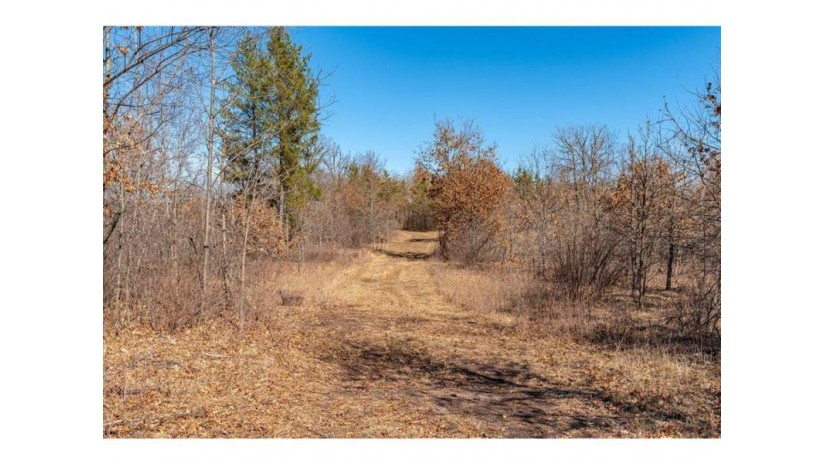 xx 20 acres Tranus Lake R Tranus Lake Rd Springbrook, WI 54875 by Compass Realty Group $97,500