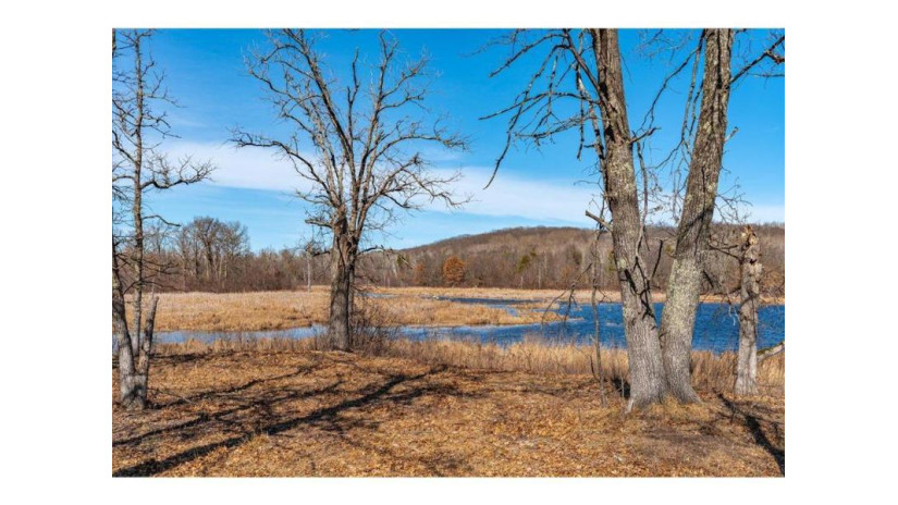 xx 20 acres Tranus Lake R Tranus Lake Rd Springbrook, WI 54875 by Compass Realty Group $97,500