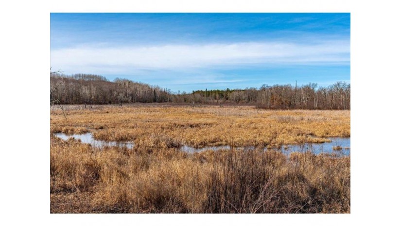 xx 20 acres Tranus Lake R Tranus Lake Rd Springbrook, WI 54875 by Compass Realty Group $97,500