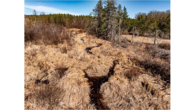 xx 20 acres Tranus Lake R Tranus Lake Rd Springbrook, WI 54875 by Compass Realty Group $97,500