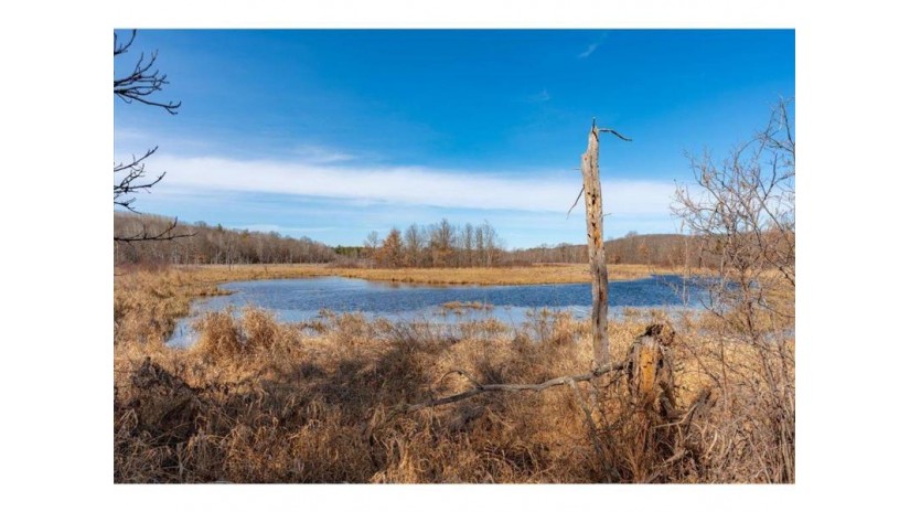 xx 20 acres Tranus Lake R Tranus Lake Rd Springbrook, WI 54875 by Compass Realty Group $97,500