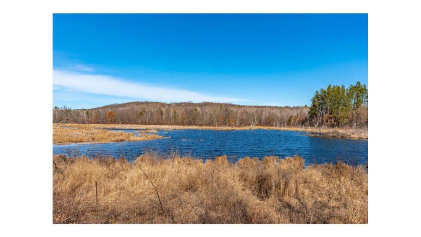 xxx 20 acres Parcel A Tranus Lake Rd Springbrook, WI 54875 by Compass Realty Group $97,500