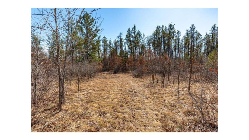 xxx 20 acres Parcel A Tranus Lake Rd Springbrook, WI 54875 by Compass Realty Group $97,500