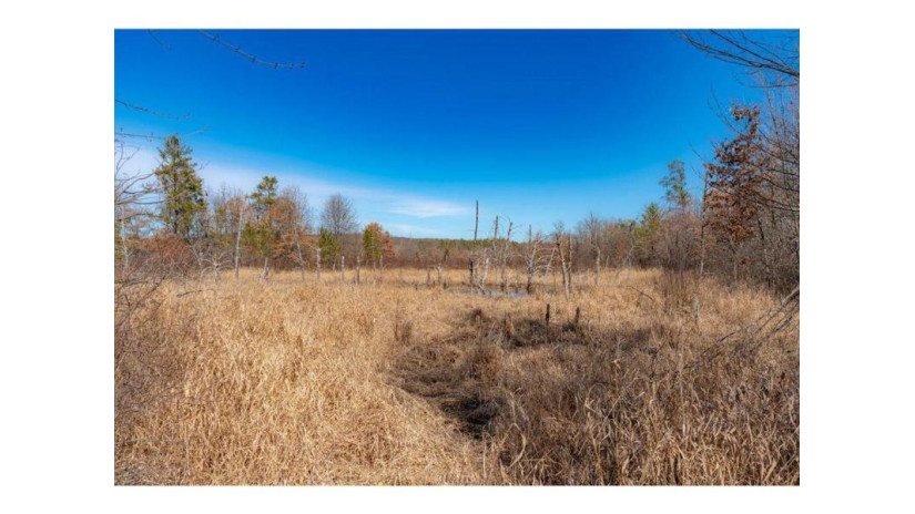 xxx 20 acres Parcel A Tranus Lake Rd Springbrook, WI 54875 by Compass Realty Group $97,500