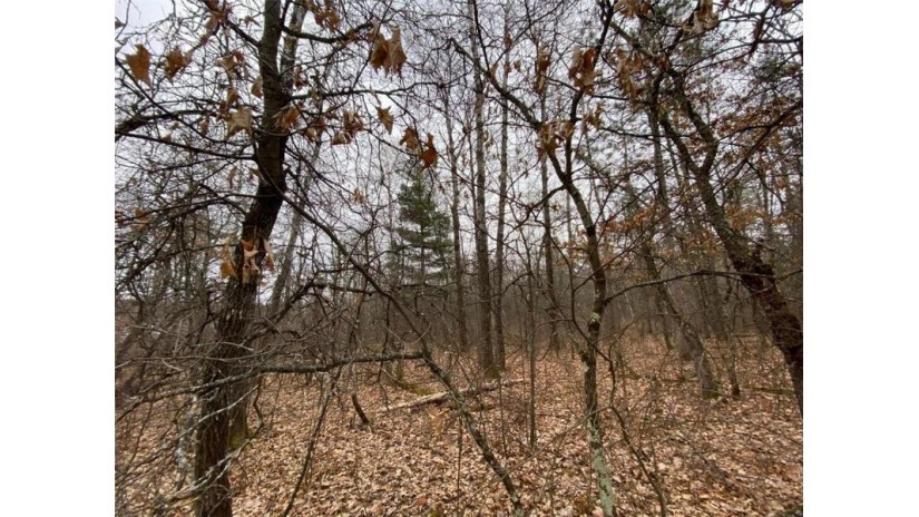 Lot 4 Steinhilpert Drive Solon Springs, WI 54873 by Lakewoods Real Estate $69,900