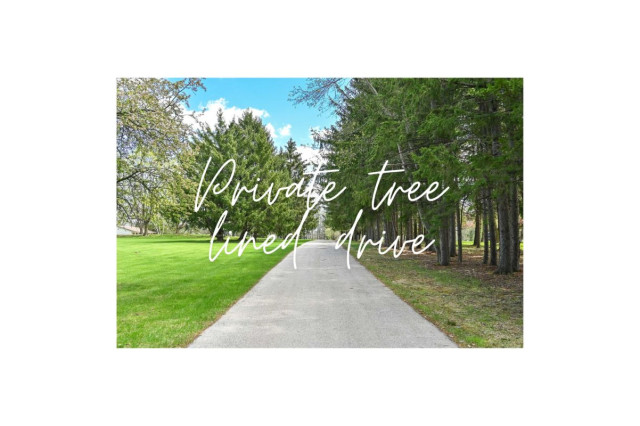 Private Tree Lined Drive