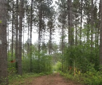 LT6&7 Towering Pines Ln, Crescent, WI 54501