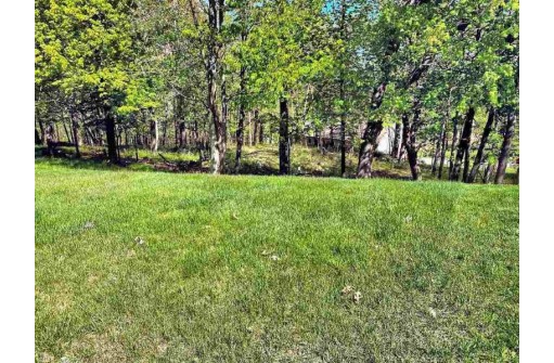 29 Eagles Nest, Baraboo, WI 53913