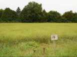 LOT- 73 Evergreen Way Spring Green, WI 53588-0000
