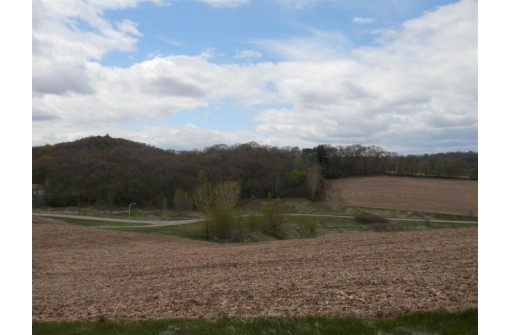 LOT 20 Spring Brook, Tomah, WI 54660