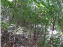 LOT 20 Deer Path, Poynette, WI 53955