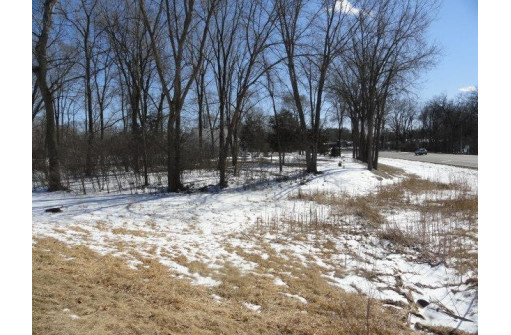 LOTS 12&13 Lintner Road, Pardeeville, WI 53954