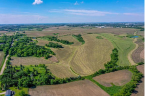 494 +/- ACRES County Road Dr