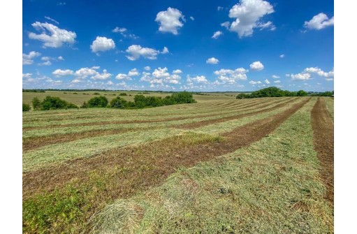 200 +/- ACRES County Road Dr, Monroe, WI 53566