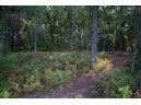 N7137 Timber Ridge Lane, Mauston, WI 53948