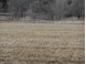 L11 Quail Meadow Ln Reedsburg, WI 53959