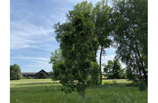 LOT 3 County Road V, Berlin, WI 54923-9460